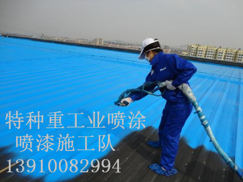 九合垸原种场包括彩钢瓦喷漆翻新（